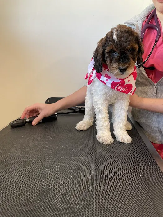 Apponaug Animal Hospital 7