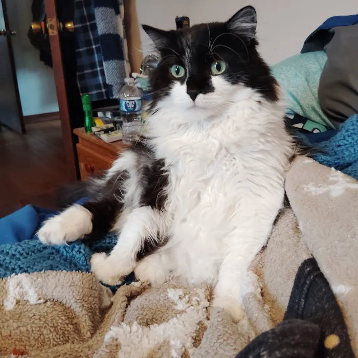 Animal Care Services 3