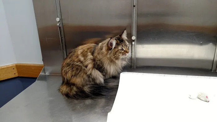Warwick Animal Hospital 1
