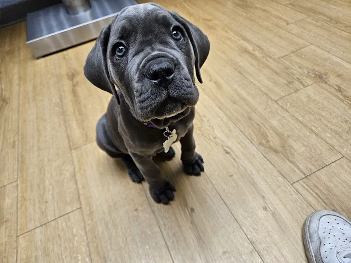 Warwick Animal Hospital 8