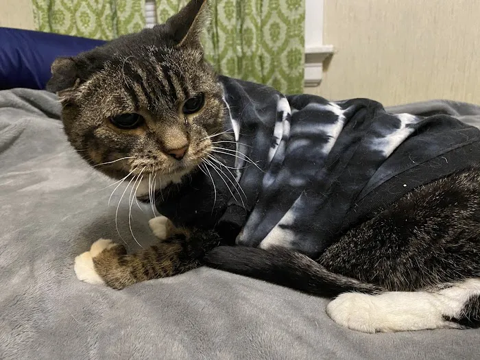 Warwick Animal Hospital 3