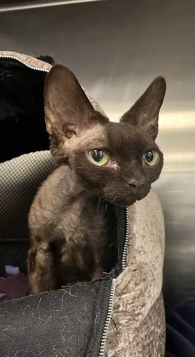 Warwick Animal Hospital 6