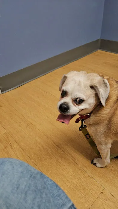 Warwick Animal Hospital 4