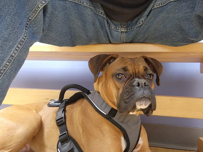 Warwick Animal Hospital 10