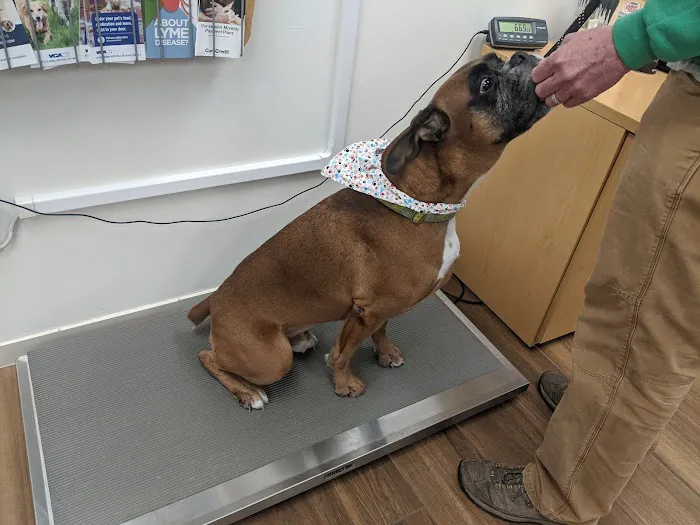 VCA Atwood Animal Hospital 2