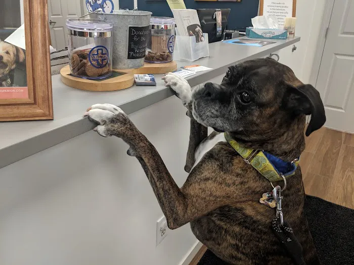 VCA Atwood Animal Hospital 3