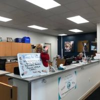 VCA Atwood Animal Hospital ico