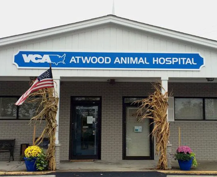 VCA Atwood Animal Hospital 8