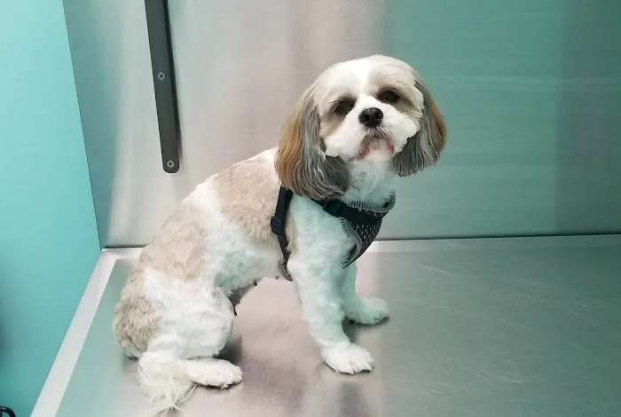 Titan Veterinary Services 5