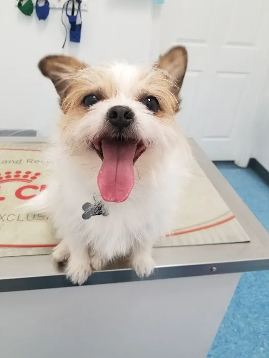 Titan Veterinary Services 9