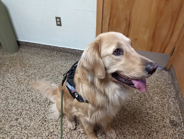 Cranston Animal Hospital 1