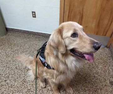 Cranston Animal Hospital