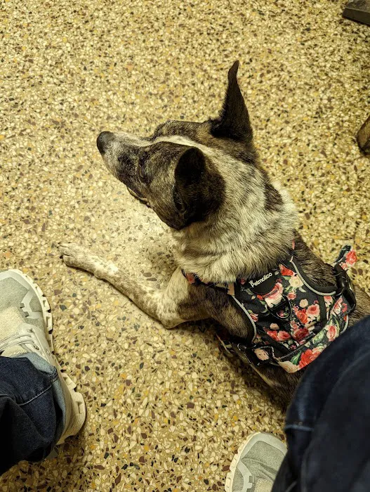 Cranston Animal Hospital 10