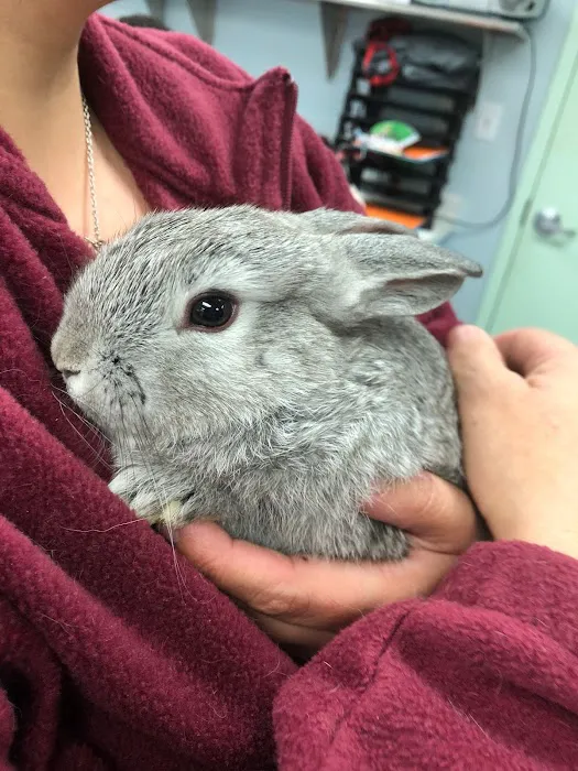 Rhode Island Animal Medical Center 7