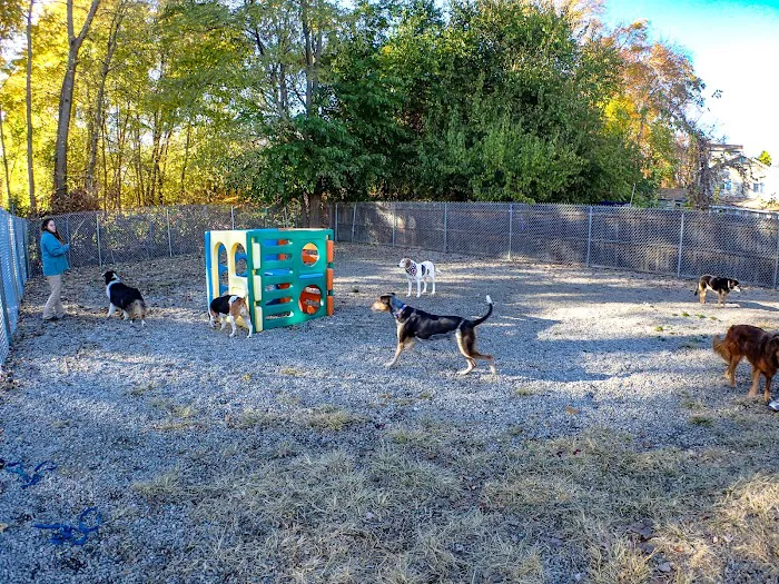 Rhode Island Animal Medical Center 3