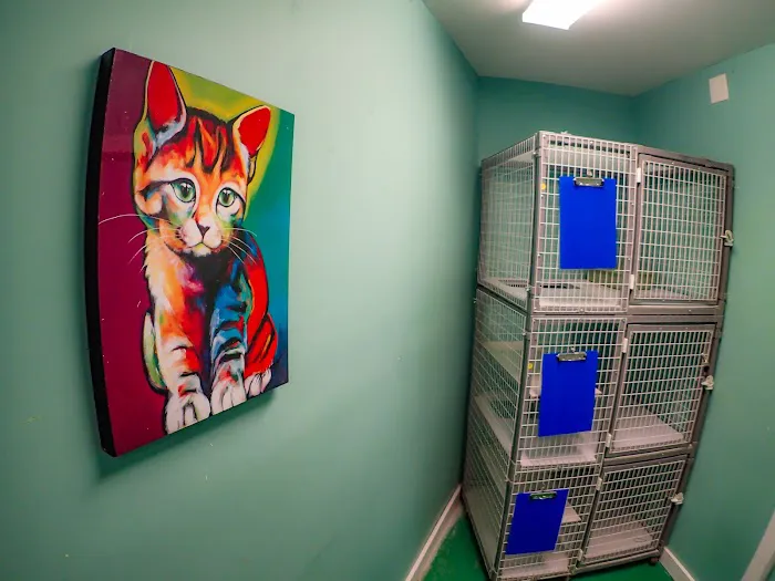 Rhode Island Animal Medical Center 8