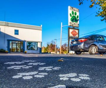 Rhode Island Animal Medical Center