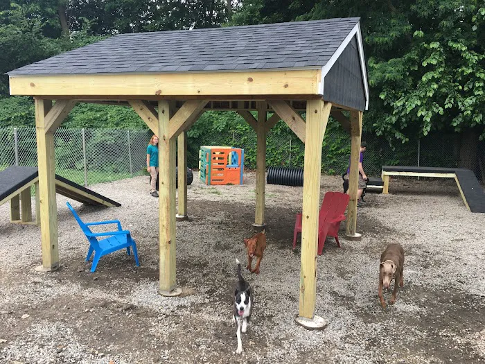 Rhode Island Animal Medical Center 4