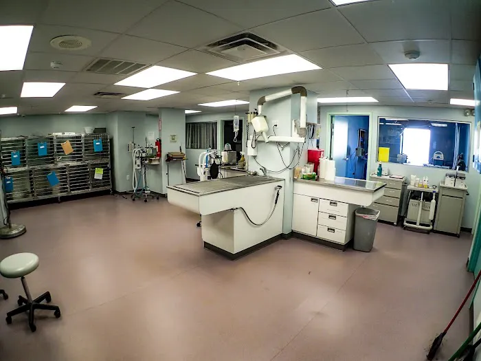 Rhode Island Animal Medical Center 5