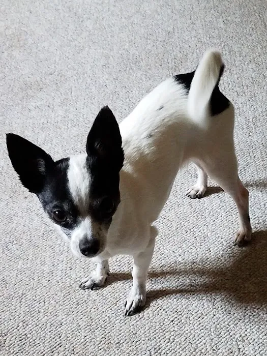 Rhode Island Animal Medical Center 9