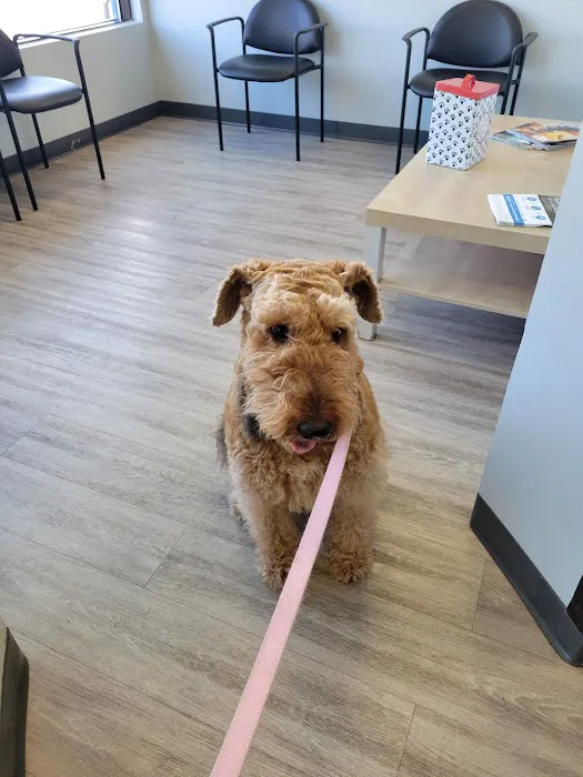 Rhode Island Animal Medical Center 10