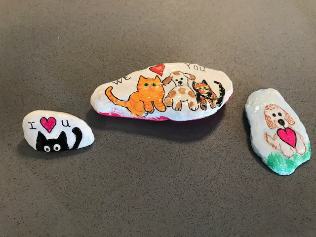 Airport Animal Hospital 5