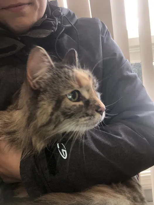 Airport Animal Hospital 4