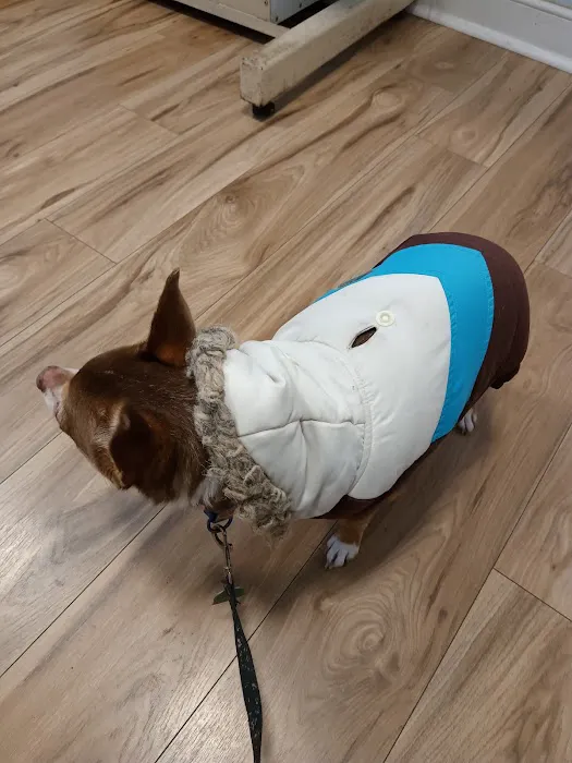 Airport Animal Hospital 1