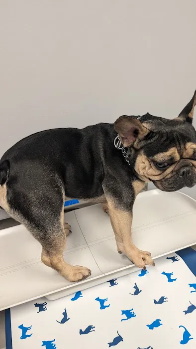 West Shore Animal Clinic 2