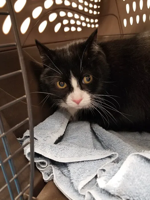 West Shore Animal Clinic 6