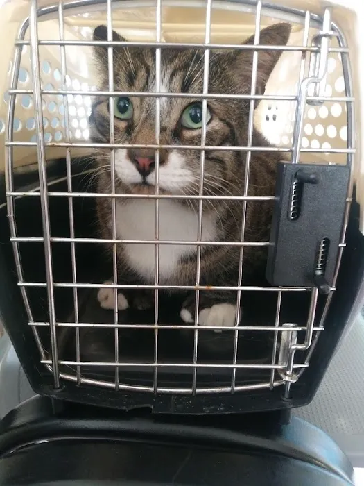 Hoffman Animal Hospital 8