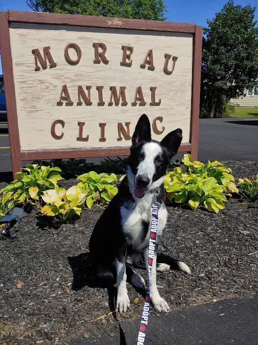 Moreau Animal Clinic 3