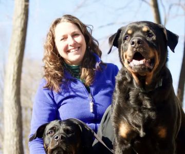 Heart-Wing Veterinary Services