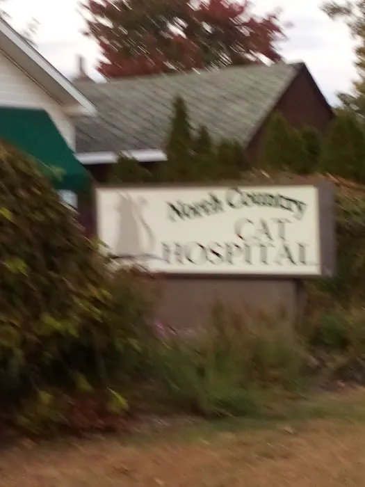 North Country Cat Hospital 1