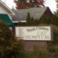 North Country Cat Hospital ico