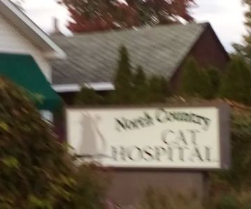North Country Cat Hospital