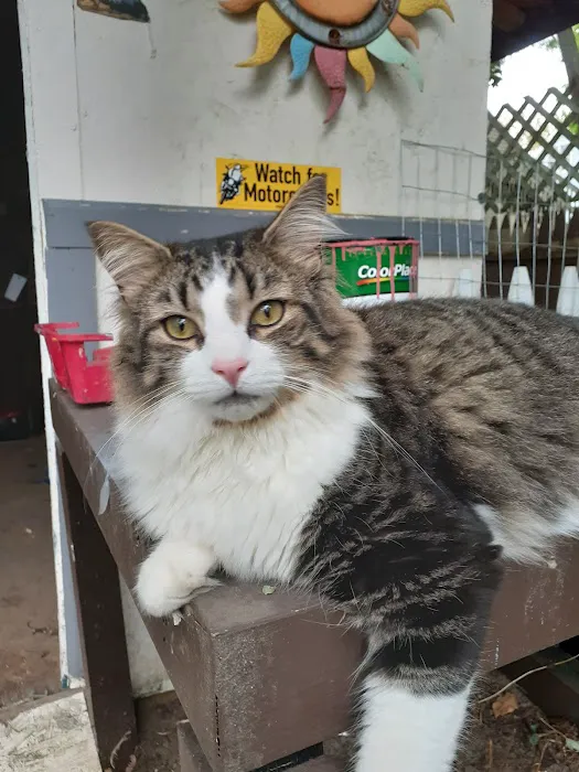 For Pet's Sake Veterinary Center 10