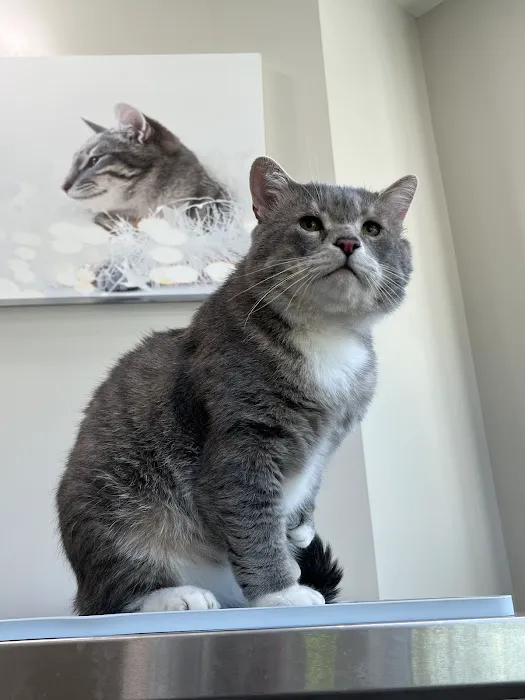 For Pet's Sake Veterinary Center 7