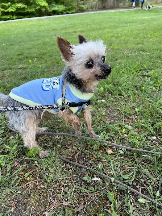 For Pet's Sake Veterinary Center 8
