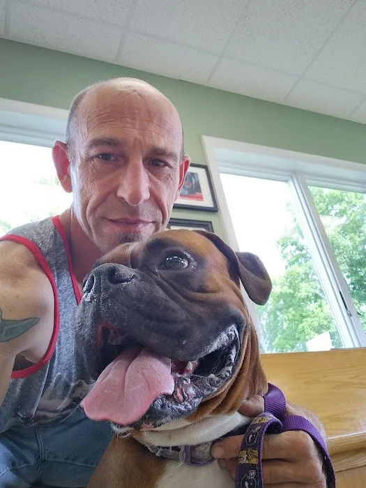 Glens Falls Animal Hospital 4
