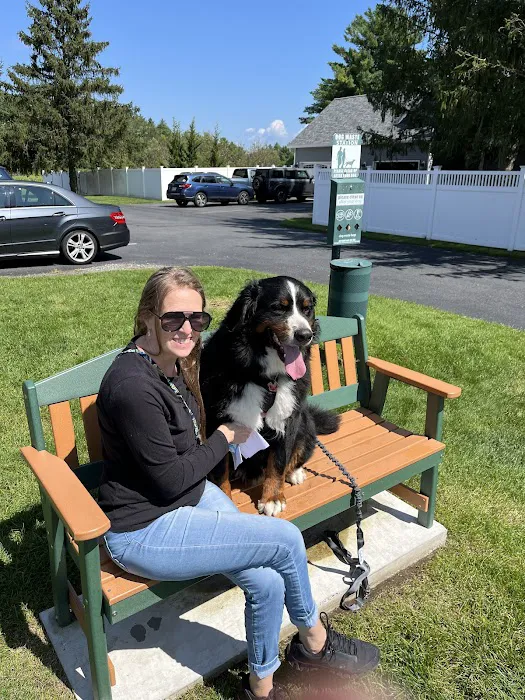 Glens Falls Animal Hospital 7