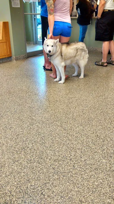 Glens Falls Animal Hospital 10