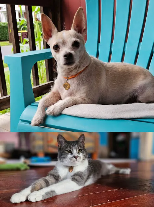 Quaker Animal Hospital 2