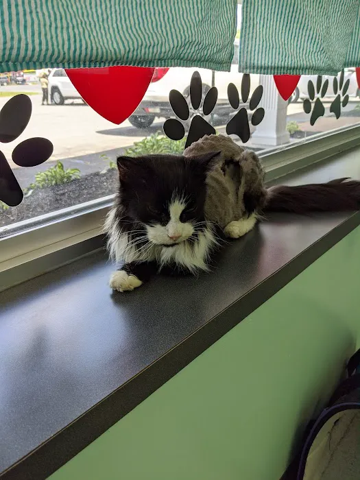 Quaker Animal Hospital 5