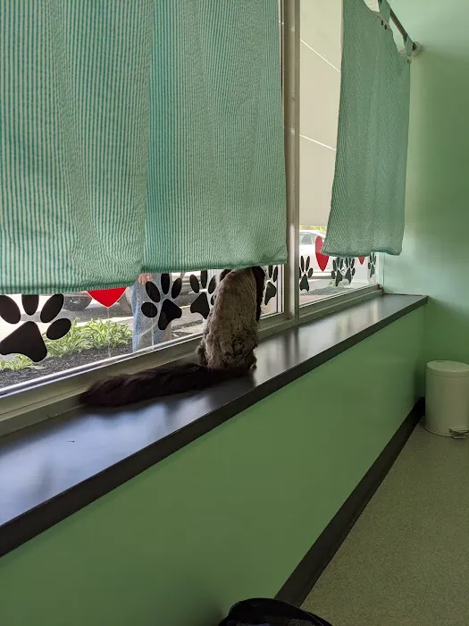 Quaker Animal Hospital 4