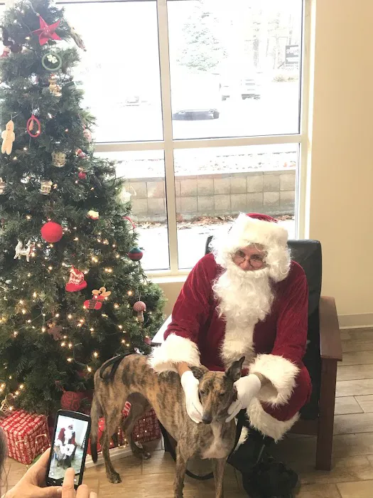 Helping Paws Veterinary Hospital 3