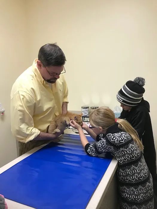 Helping Paws Veterinary Hospital 2