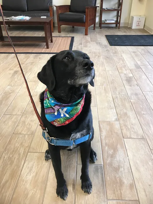 Helping Paws Veterinary Hospital 4
