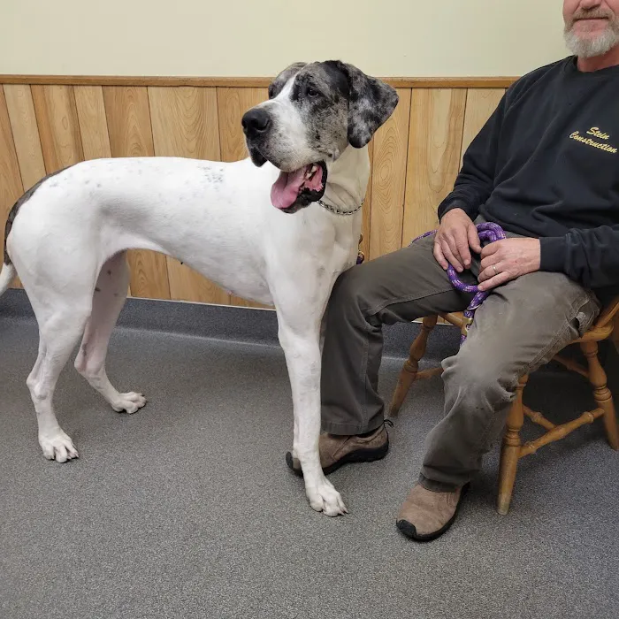 VCA Adirondack Animal Hospital 2