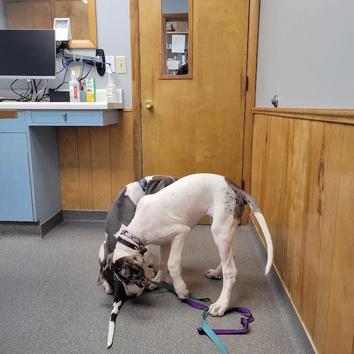 VCA Adirondack Animal Hospital 3